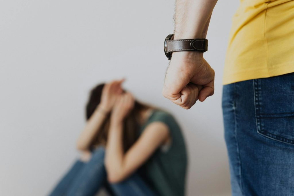 Domestic violence charges in Ontario — Habib Legal Counsel, criminal defence lawyer in Mississauga
